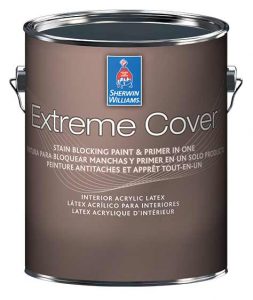 extreme cover stain blocking paint